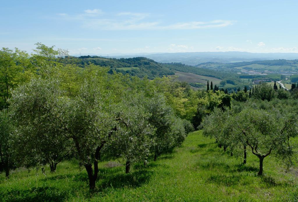 Il Borghetto Tuscan Holidays Guest House San Gimignano Exterior foto