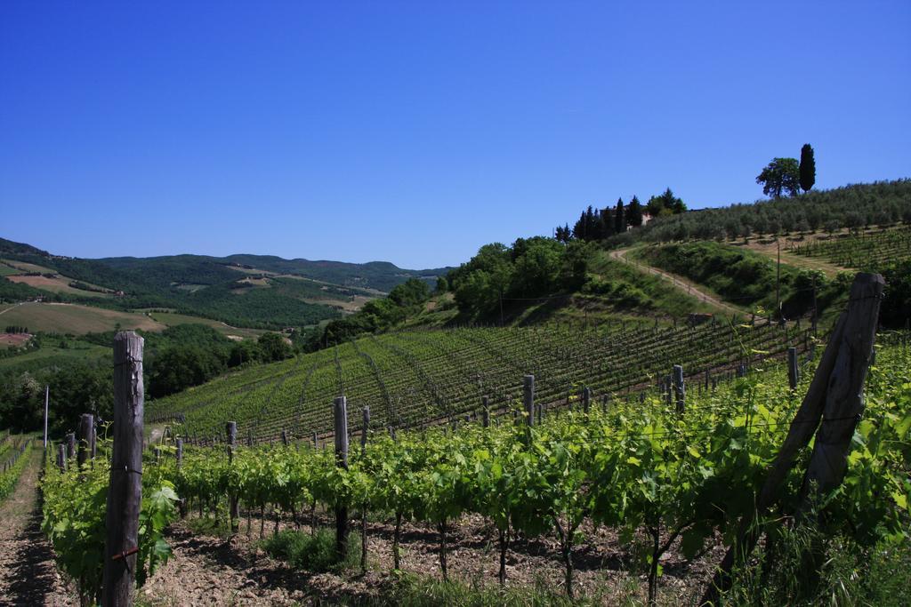 Il Borghetto Tuscan Holidays Guest House San Gimignano Exterior foto